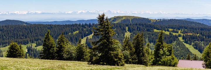 Feldberg Ausblick Panorama