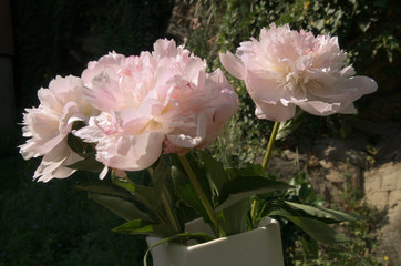 Peonies in Vase, Swiss garden table