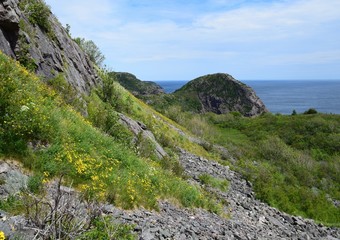  looking past the lush green hills   towards the Atlantic ocean, at Signal Hill St John's Newfoundland Canada