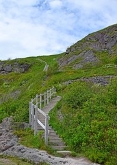 Fototapeta na wymiar steep outdoor staircase surrounded by a lush green grass and Spring flowers, at Signal Hill St John's Newfoundland Canada