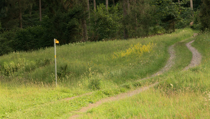 Paths and Footpath sign on the Maltinawiese, Flums