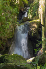 Fototapeta na wymiar Menzenschwander Wasserfälle