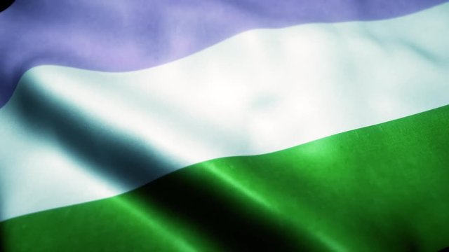 Waving Genderqueer Pride Flag