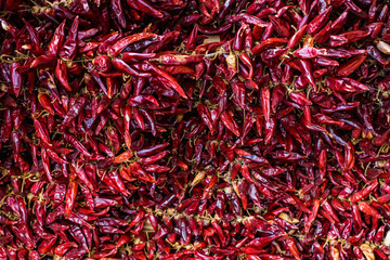 Several hot red peppers in a closer view, in Hungary, Balaton.