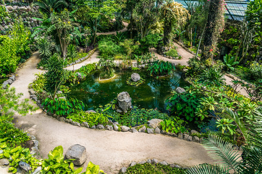 The cold house (Estufa Fria) is a greenhouse with gardens, ponds, plants and trees located in Eduardo VII Park, Lisbon, capital of Portugal