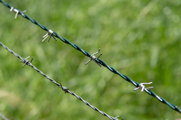 Stacheldraht