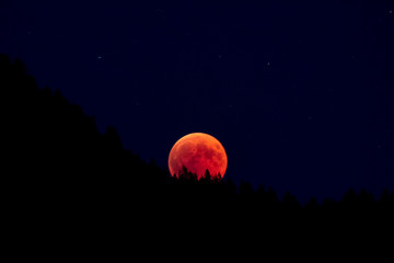 Eclissi totale lunare sugli alberi