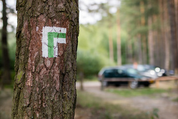 A sign painted on a tree in the forest. Marking of the tourist route.