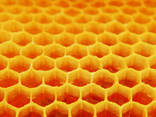yellow bee cells with honey, healthy food. background