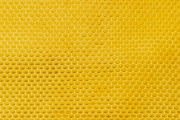 yellow bee cells with honey, healthy food. background