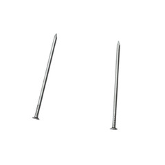 Two nails isolated on white background