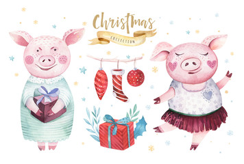 Watercolor cute Pig symbol 2019 illustration. Isolated funny cartoon ping animal Happy Chinese New Year piggy art.