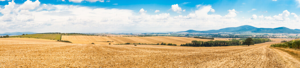 Obraz premium Farmland countryside panorama at morning