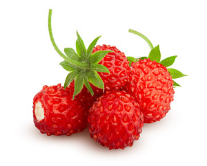Wild strawberry isolated on white background, clipping path, full depth of field