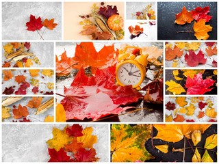Autumn collage showing different autumn pictures, Colorful background of fallen autumn leaves