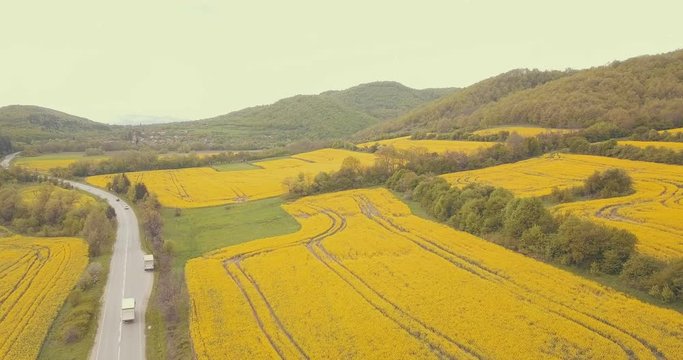 Beautiful Spring flower fields of color, energy and bloom. All shot in 4K, color graded and diversely picked to tell any story as needed. Wide, medium and close ups.