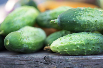 Closeup of harvested cucumbers on a wooden bench