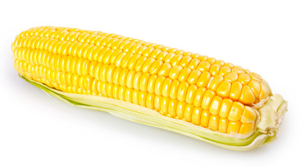 Fresh corn on white background © valery121283