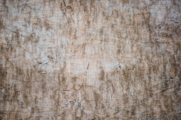 Grunge wooden texture in the divorce