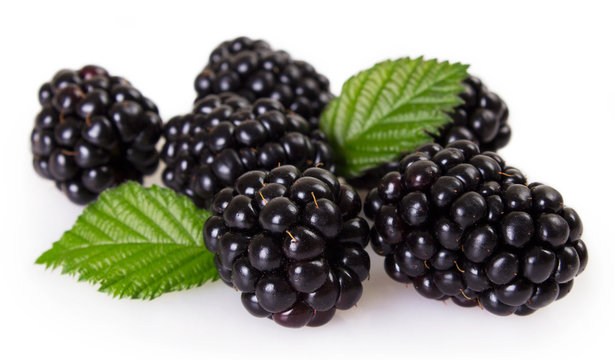 Fresh blackberry on white background