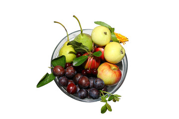 Fruit still life. Isolated white background.