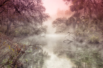 Obraz na płótnie Canvas River wood with moring mist