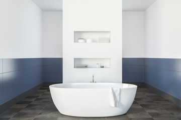 Obraz na płótnie Canvas White and blue bathroom, bathtub