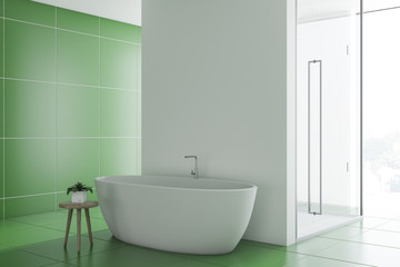 Fototapeta na wymiar Green bathroom inteiror, tub and shower