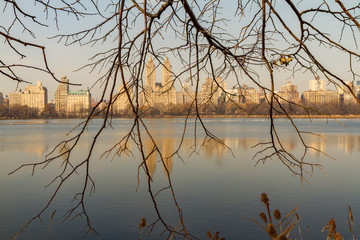 A Wintry View Through Bare Branches Across The Lake in Central Park, New York City