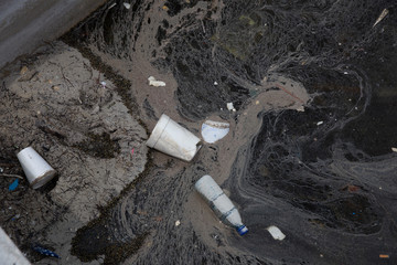 Styrofoam Cups and Bottle Water Pollution