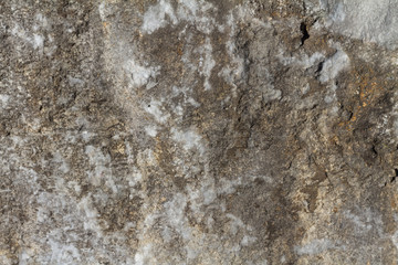 stone grunge texture