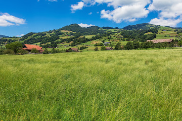 Fototapeta na wymiar A summertime view in the Swiss canton of Schwyz