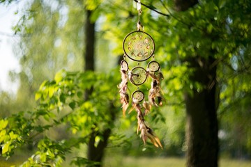 Dreamcatcher, american native amulet in forest. Shaman