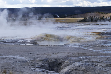 YellowStone Park 