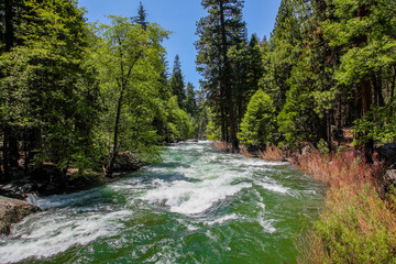 Raging green waters of the King River in Kings Canyon National Park California