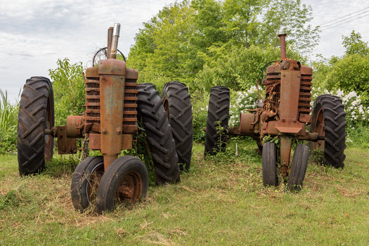 Antique tractors in field with dense undergrowth around them