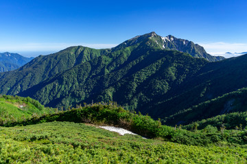 夏の北アルプス　鹿島槍ヶ岳