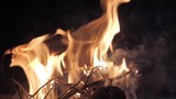 Bonfire fire for barbecue