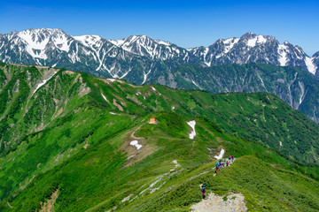 Fototapeta na wymiar 北アルプス　爺ヶ岳からの立山、剱岳眺望