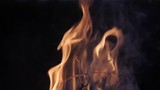 Bonfire fire for barbecue