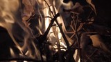 Bonfire fire for barbecue