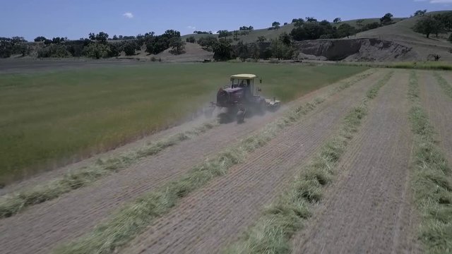 Red and yellow swather organizing hay into linear rows in the mid day heat