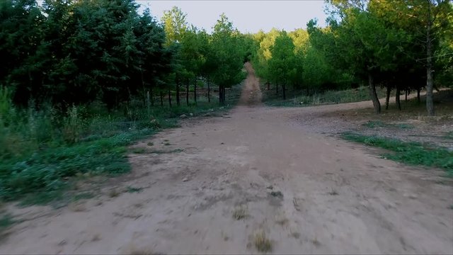 Running in the woods fast. Shot with drone Phantom 3. First person perspective
