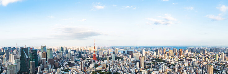 Naklejka premium Krajobraz Tokio