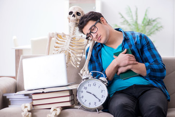 Student studying with skeleton preparing for exams