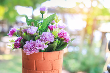beautiful flower or plant in a pot with nature environment background at home in the morning and sun light with copy space in Valentine's Day, Wedding or Romantic Love concept