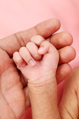 Newborn little hand hold by parent hand