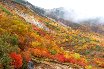 錦秋の絶景・乗鞍