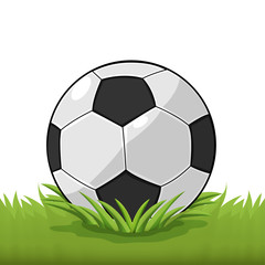 Fototapeta na wymiar Soccer Ball Field Grass Cartoon Vector