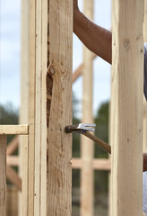 Hammering a Nail  into Wood